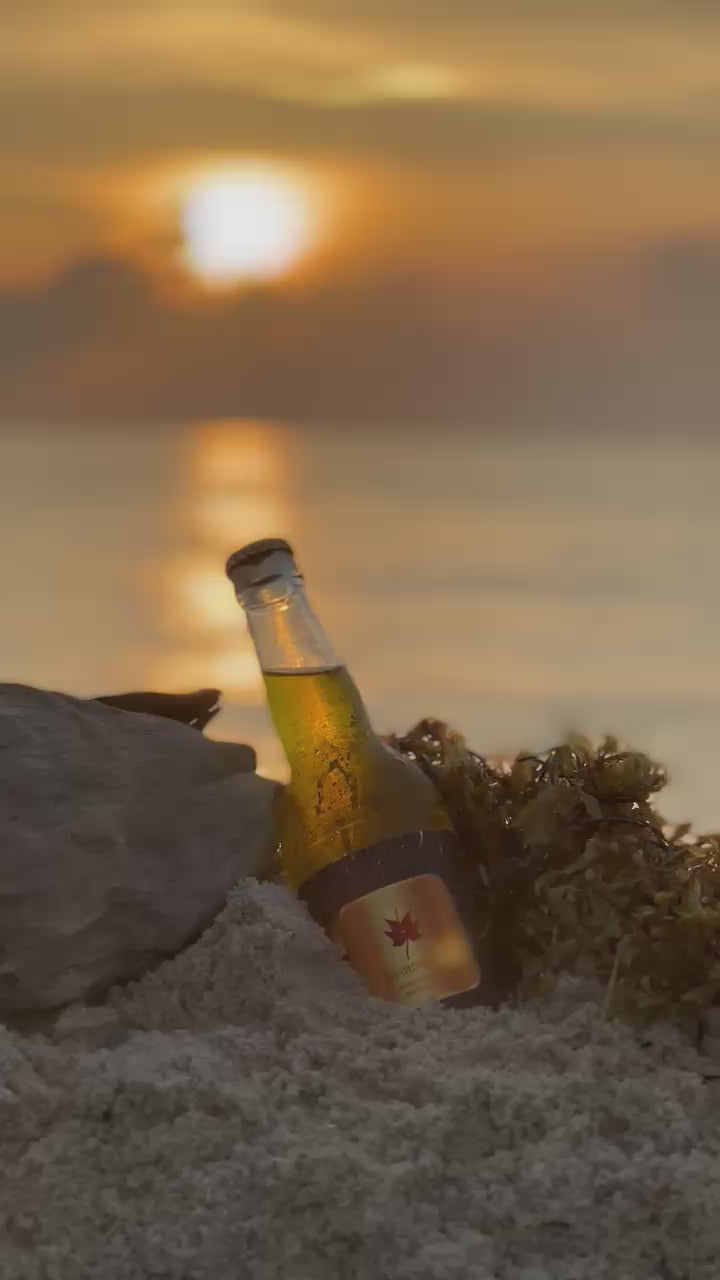 Video laden: First Shah Drinks in Miami